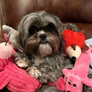 Meet your Posher, Lia